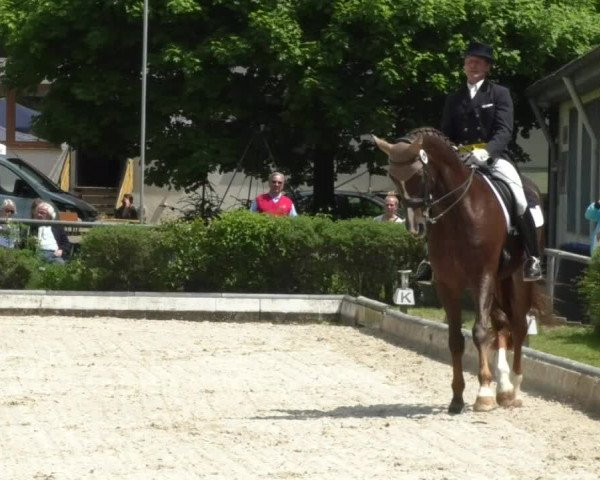 Reitturnier Kurtscheid 2017