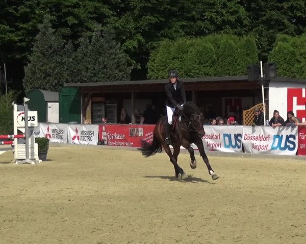 Reitturnier Ratingen-Lintorf 2017