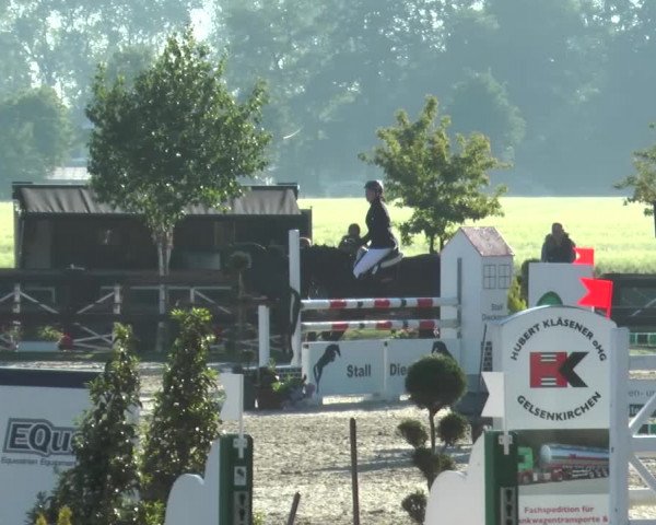 Reitturnier Kirchhellen/Stall Dieckmann 2017
