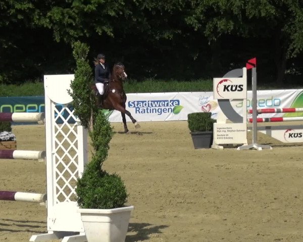Reitturnier Ratingen-Lintorf 2017