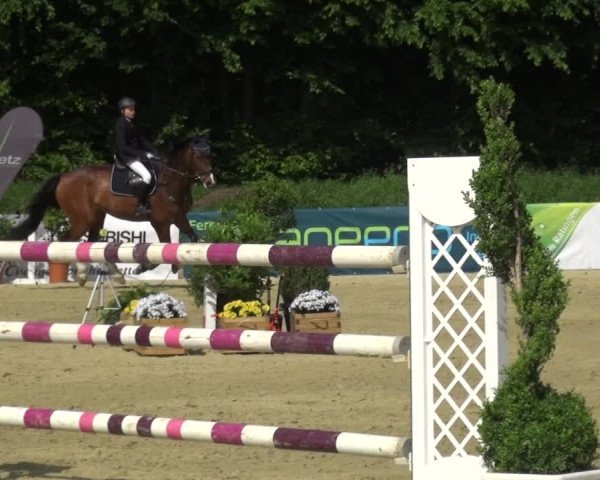 Reitturnier Ratingen-Lintorf 2017