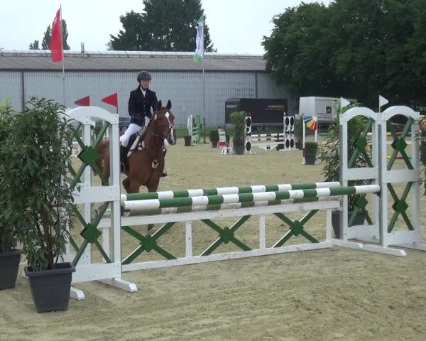 Reitturnier Ratingen-Lintorf 2017