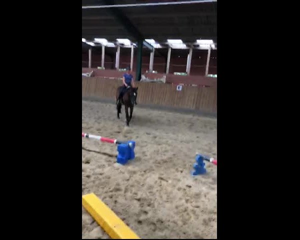Video of Amber