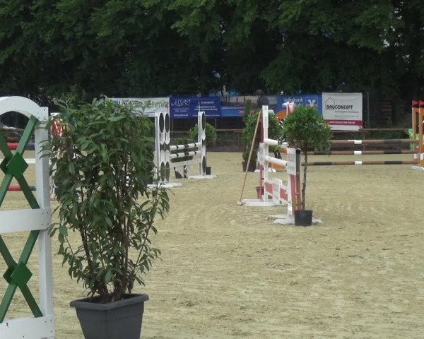 Reitturnier Ratingen-Lintorf 2017