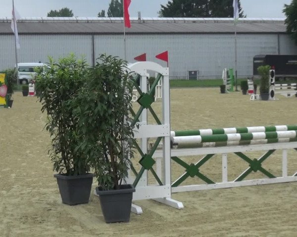 Reitturnier Ratingen-Lintorf 2017