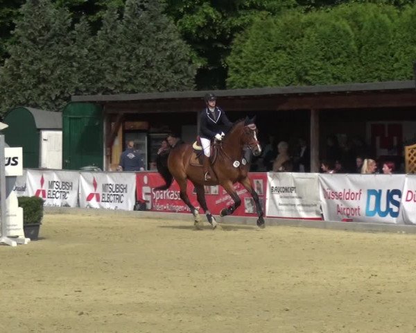 Reitturnier Ratingen-Lintorf 2017