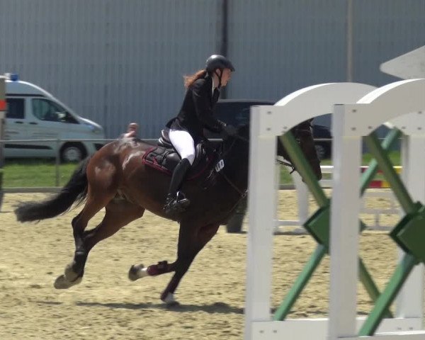 Reitturnier Ratingen-Lintorf 2017