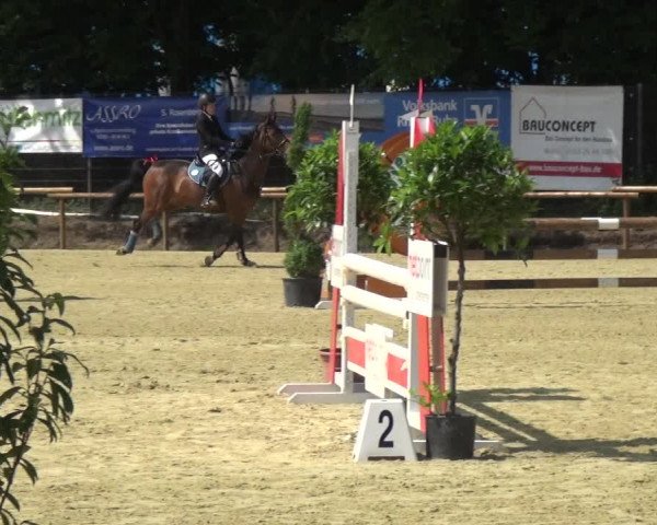 Reitturnier Ratingen-Lintorf 2017