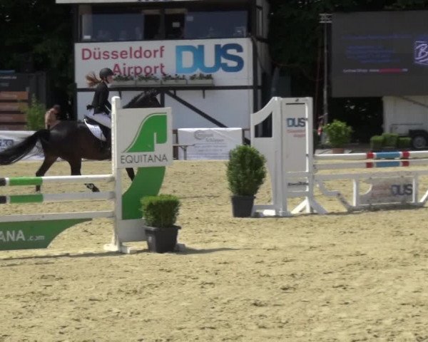 Reitturnier Ratingen-Lintorf 2017