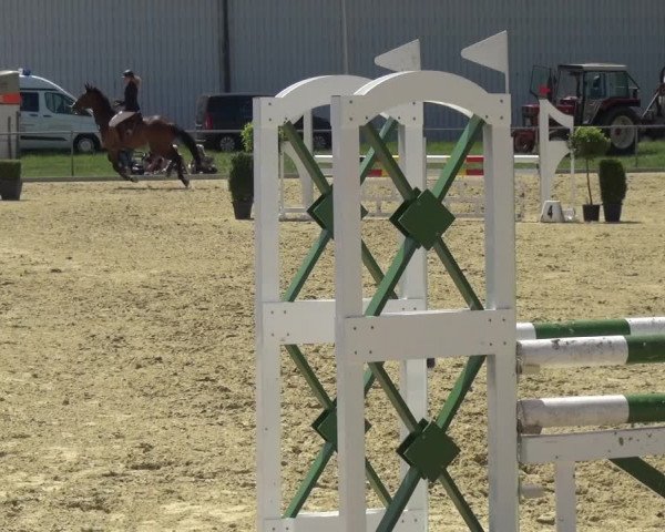 Reitturnier Ratingen-Lintorf 2017