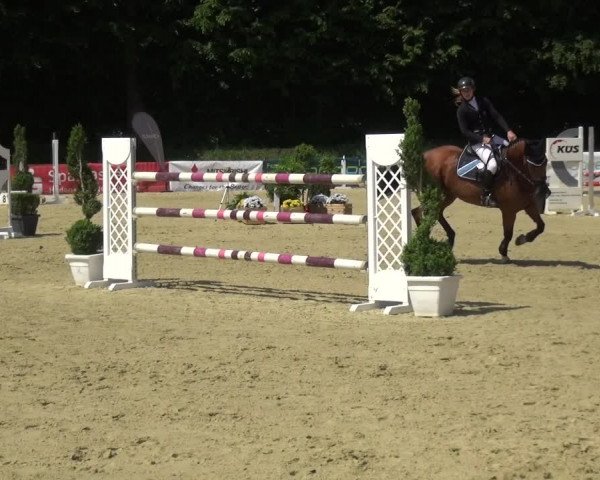 Reitturnier Ratingen-Lintorf 2017