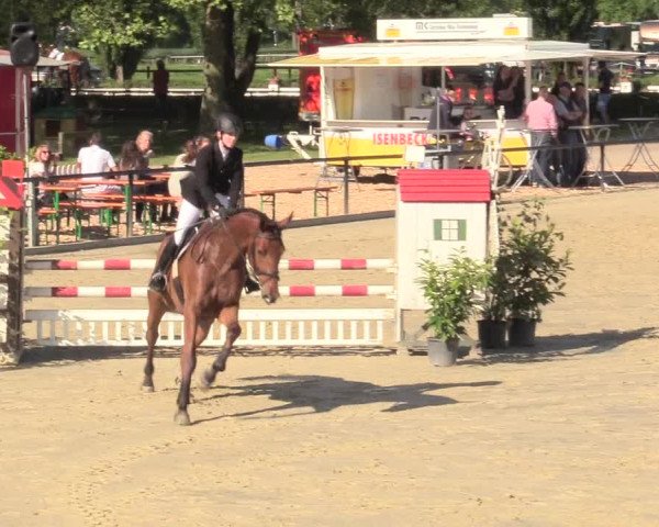 Reitturnier Hamm-Rhynern 2017