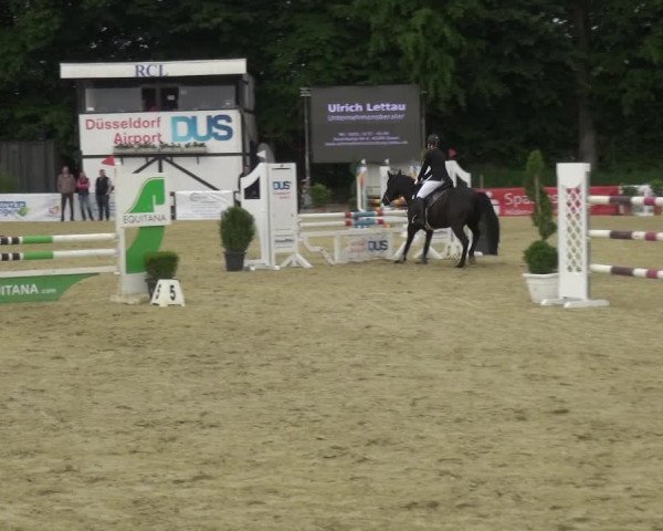 Reitturnier Ratingen-Lintorf 2017
