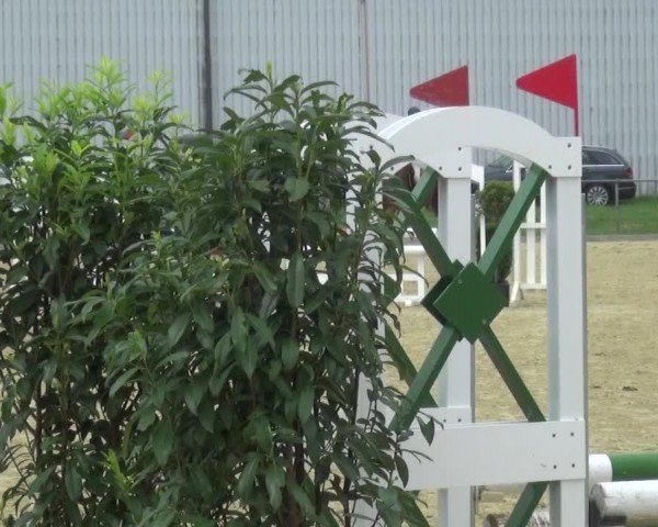 Reitturnier Ratingen-Lintorf 2017