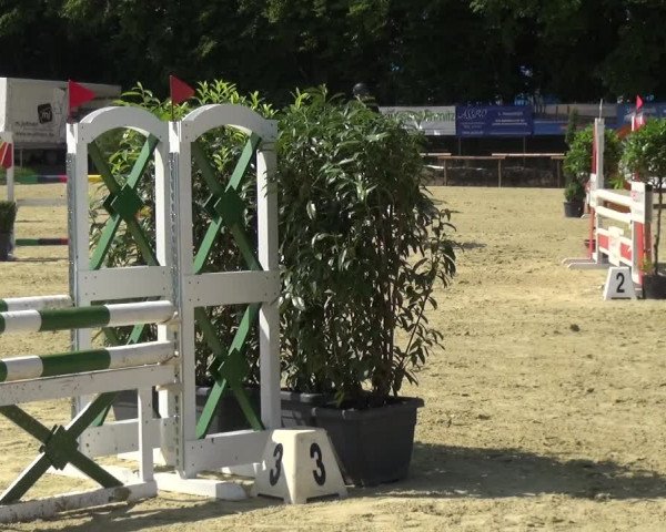 Reitturnier Ratingen-Lintorf 2017
