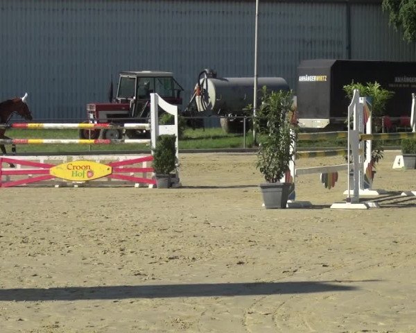 Reitturnier Ratingen-Lintorf 2017