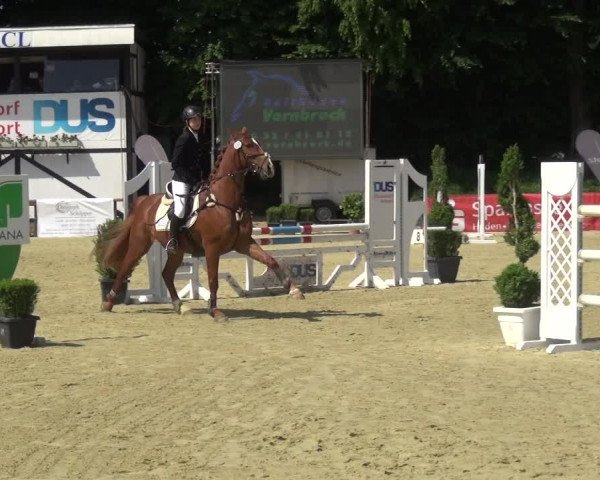 Reitturnier Ratingen-Lintorf 2017