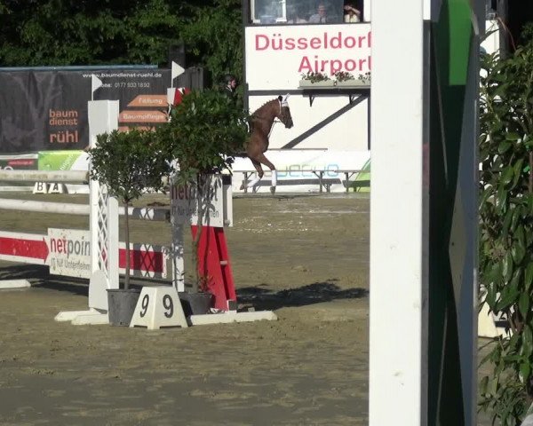 Reitturnier Ratingen-Lintorf 2017