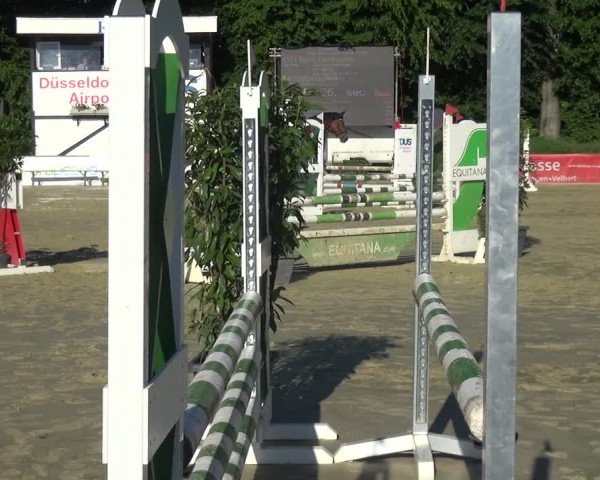 Reitturnier Ratingen-Lintorf 2017