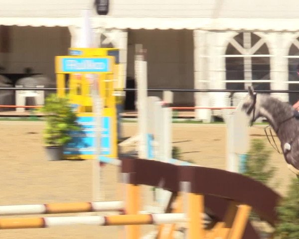 Reitturnier Hamm-Rhynern 2017
