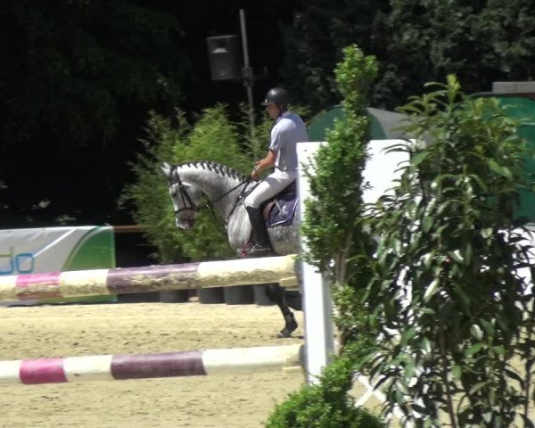 Reitturnier Ratingen-Lintorf 2017