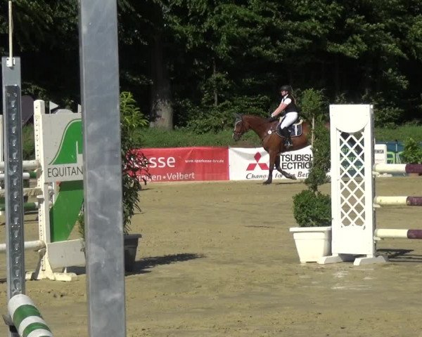 Reitturnier Ratingen-Lintorf 2017