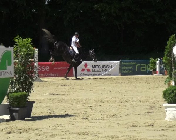 Reitturnier Ratingen-Lintorf 2017