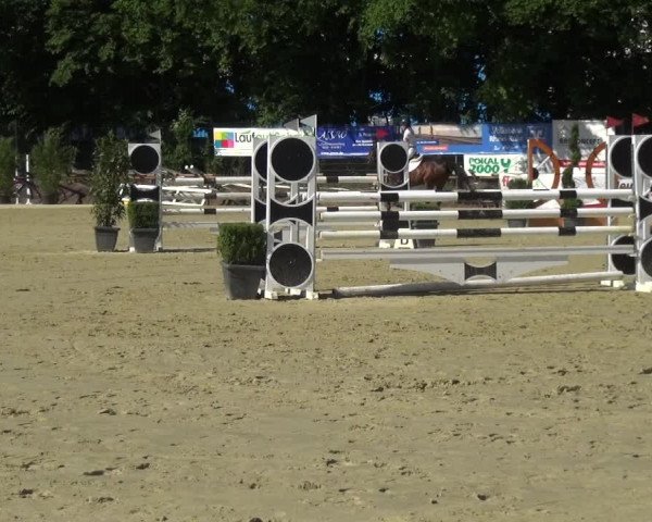 Reitturnier Ratingen-Lintorf 2017