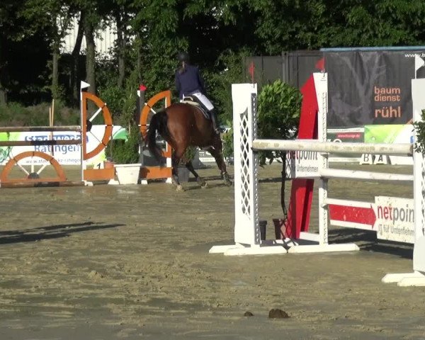Reitturnier Ratingen-Lintorf 2017