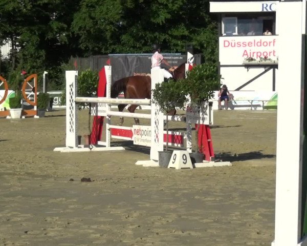 Reitturnier Ratingen-Lintorf 2017