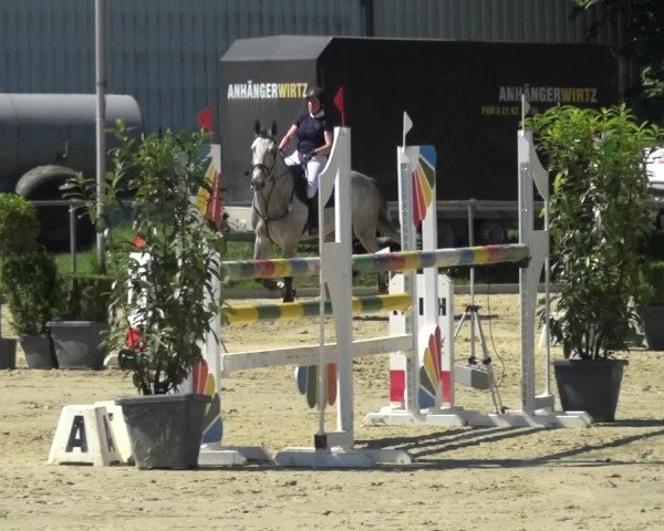 Reitturnier Ratingen-Lintorf 2017