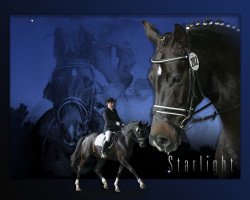 broodmare Starlight (Westphalian, 2002, from Show Star)