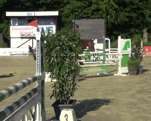 Reitturnier Ratingen-Lintorf 2017
