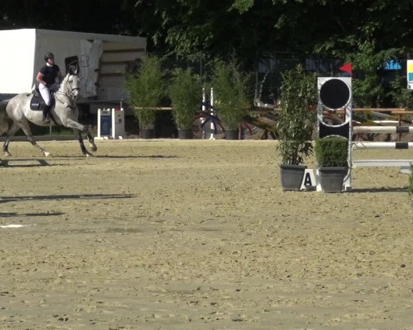 Reitturnier Ratingen-Lintorf 2017