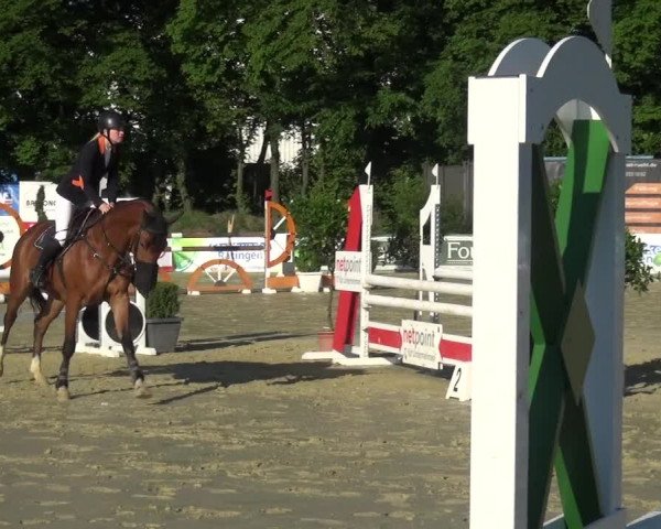 Reitturnier Ratingen-Lintorf 2017