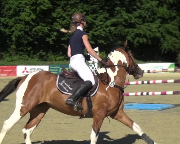 Reitturnier Ratingen-Lintorf 2017