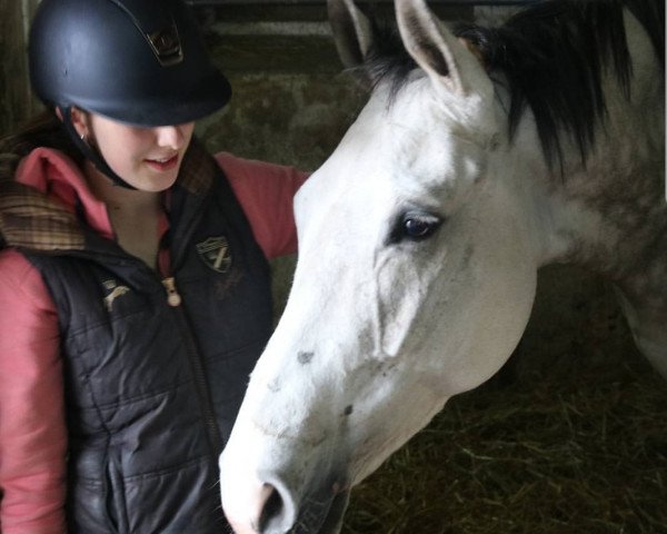 broodmare Cheer-Chardonnay de Coeur (Hanoverian, 2010, from Cheval de Coeur)
