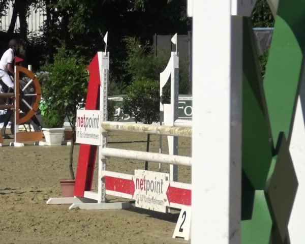 Reitturnier Ratingen-Lintorf 2017