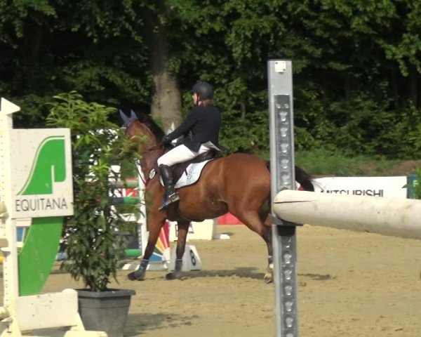 Reitturnier Ratingen-Lintorf 2017