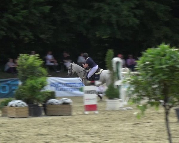 Reitturnier Ratingen-Lintorf 2017