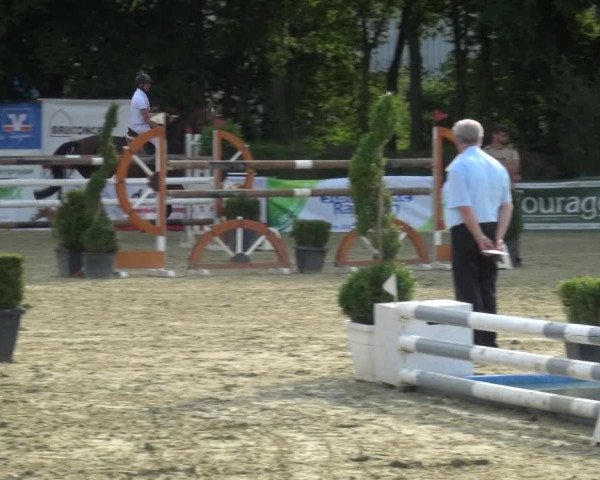 Reitturnier Ratingen-Lintorf 2017