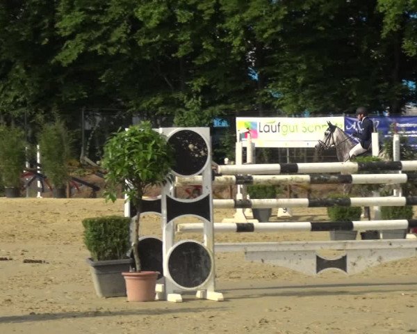 Reitturnier Ratingen-Lintorf 2017