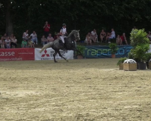 Reitturnier Ratingen-Lintorf 2017