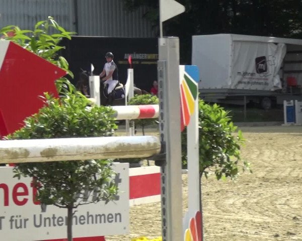 Reitturnier Ratingen-Lintorf 2017