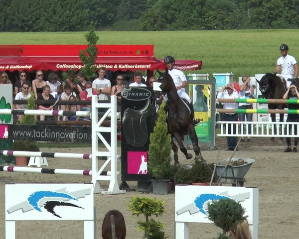 Reitturnier Kirchhellen/Stall Dieckmann 2017