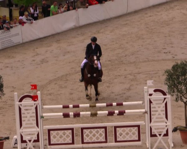 Reitturnier Oberfrauendorf 2017
