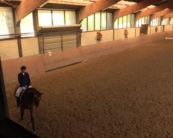 Reitturnier Hamm-Rhynern 2017