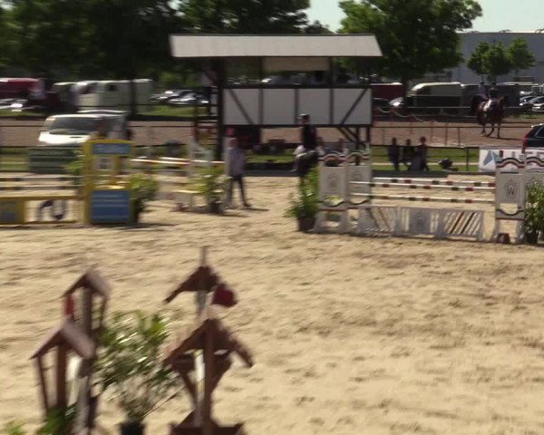 Reitturnier Hamm-Rhynern 2017