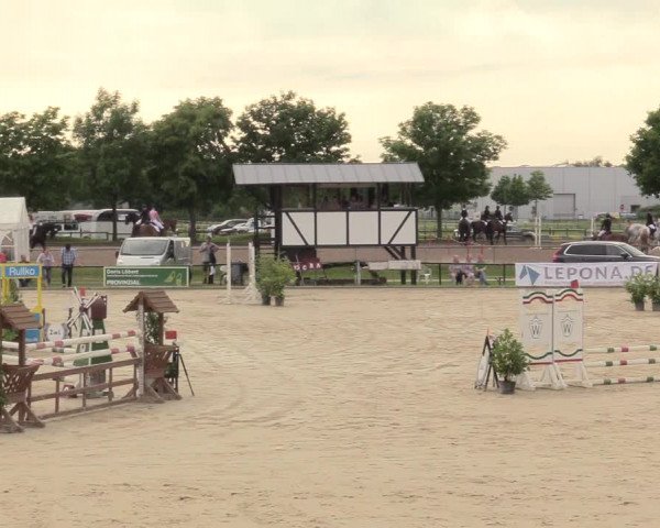 Reitturnier Hamm-Rhynern 2017