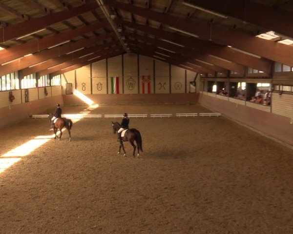 Reitturnier Hamm-Rhynern 2017